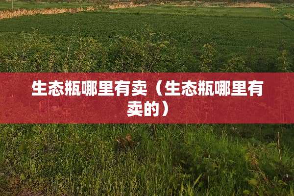 生态瓶哪里有卖（生态瓶哪里有卖的）