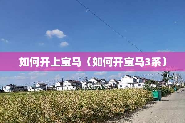 如何开上宝马（如何开宝马3系）