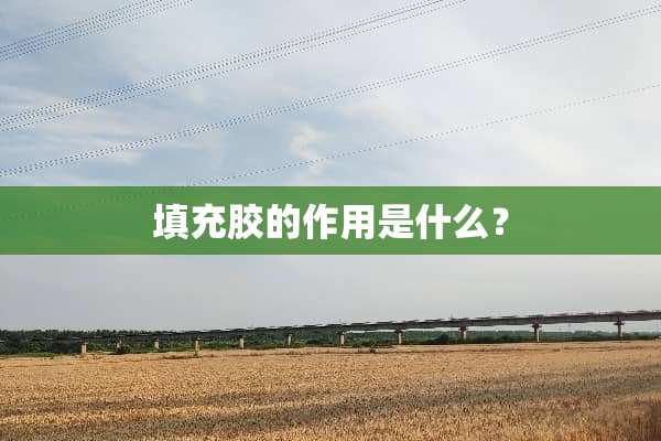 填充胶的作用是什么？