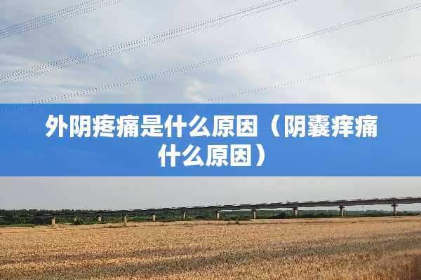外*疼痛是什么原因（*囊痒痛什么原因）