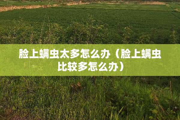 脸上螨虫太多怎么办（脸上螨虫比较多怎么办）