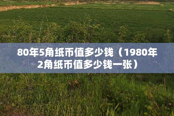 80年5角纸币值多少钱（1980年2角纸币值多少钱一张）