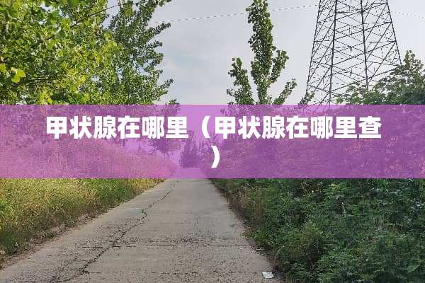 甲状腺在哪里（甲状腺在哪里查）