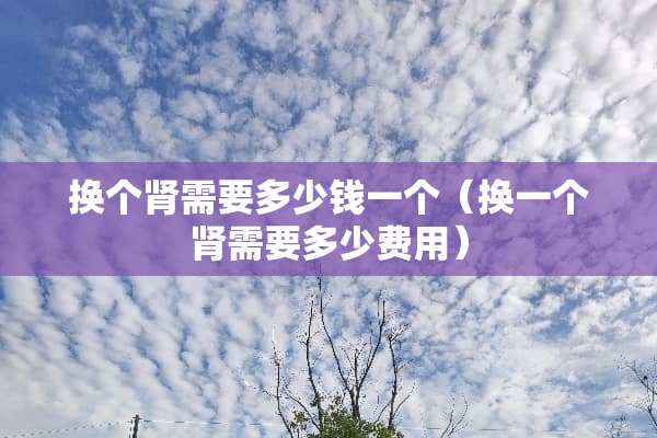 换个肾需要多少钱一个（换一个肾需要多少费用）
