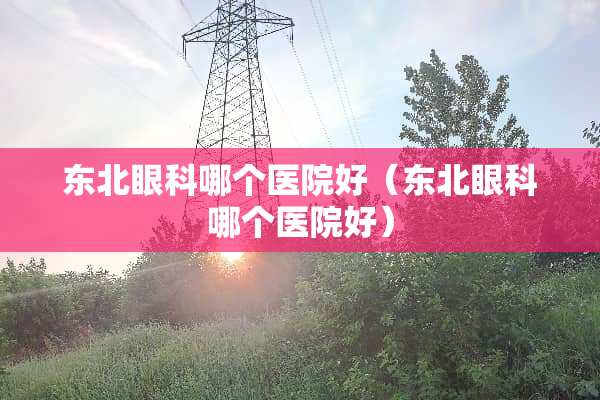 东北眼科哪个医院好（东北眼科哪个医院好）