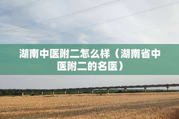 湖南中医附二怎么样（湖南省中医附二的名医）