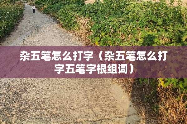 杂五笔怎么打字（杂五笔怎么打字五笔字根组词）