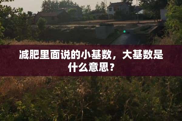 减肥里面说的小基数，大基数是什么意思？