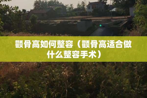 颧骨高如何整容（颧骨高适合做什么整容手术）