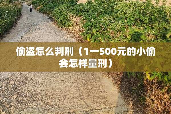 偷盗怎么判刑（1一500元的小偷会怎样量刑）