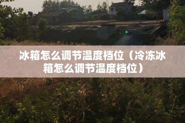 冰箱怎么调节温度档位（冷冻冰箱怎么调节温度档位）