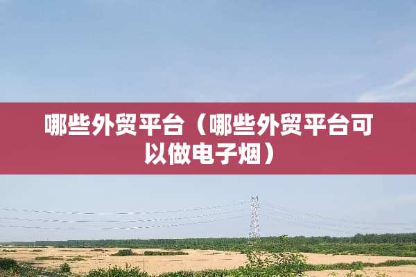 哪些外贸平台（哪些外贸平台可以做电子烟）