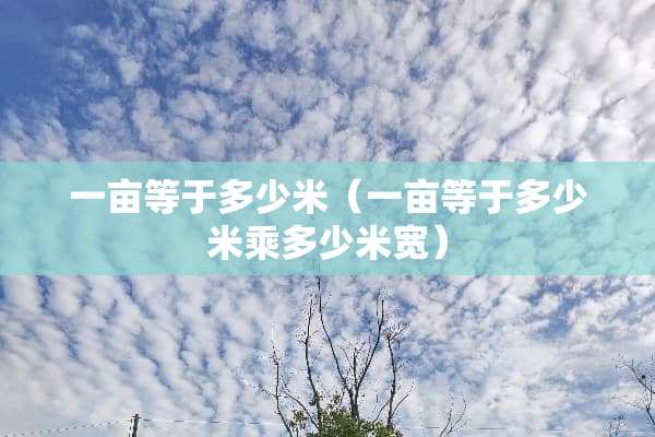 一亩等于多少米（一亩等于多少米乘多少米宽）