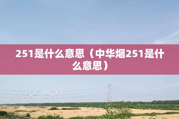 251是什么意思（中华烟251是什么意思）