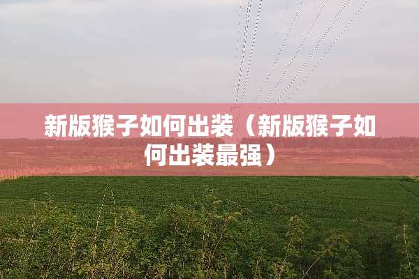 新版猴子如何出装（新版猴子如何出装最强）