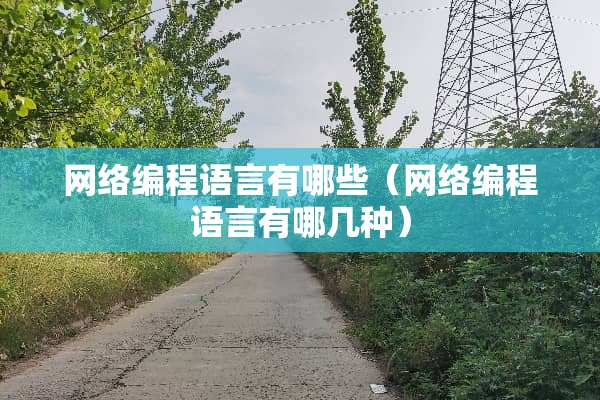 网络编程语言有哪些（网络编程语言有哪几种）