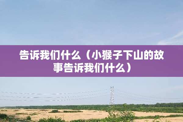 告诉我们什么（小猴子下山的故事告诉我们什么）