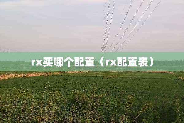 rx买哪个配置（rx配置表）