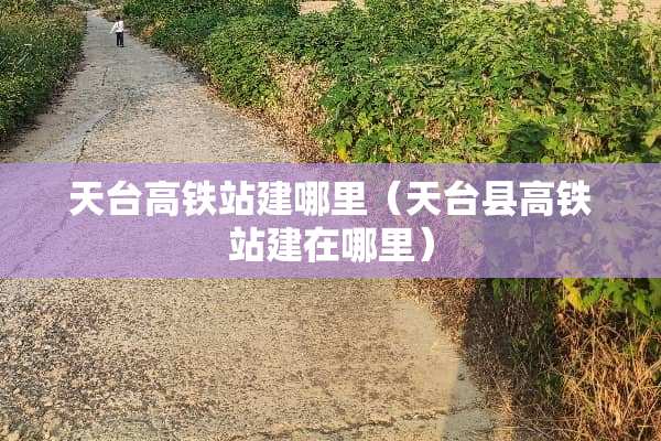 天台高铁站建哪里（天台县高铁站建在哪里）