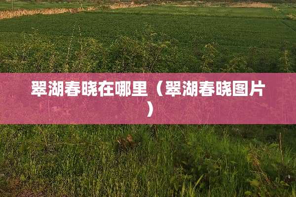 翠湖春晓在哪里（翠湖春晓图片）