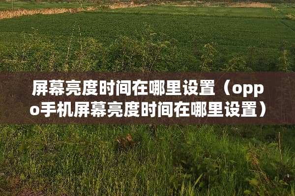 屏幕亮度时间在哪里设置（oppo手机屏幕亮度时间在哪里设置）