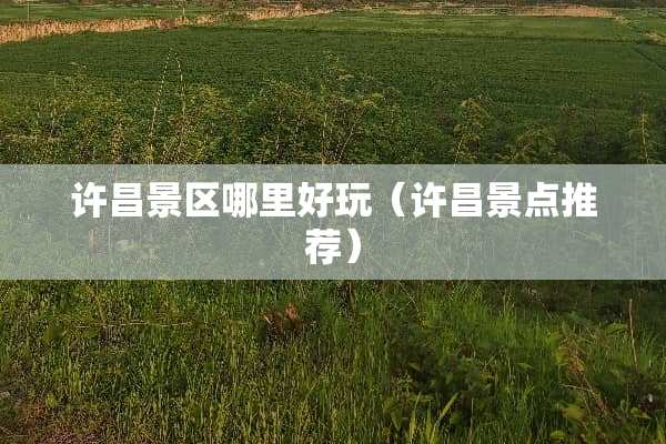 许昌景区哪里好玩（许昌景点推荐）