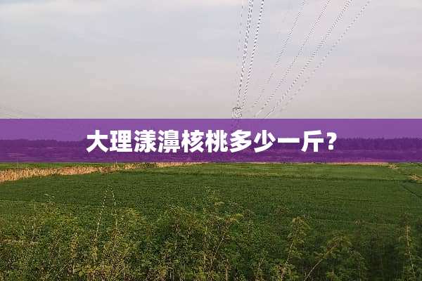 大理漾濞核桃多少一斤？