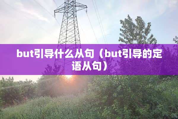 but引导什么从句（but引导的定语从句）
