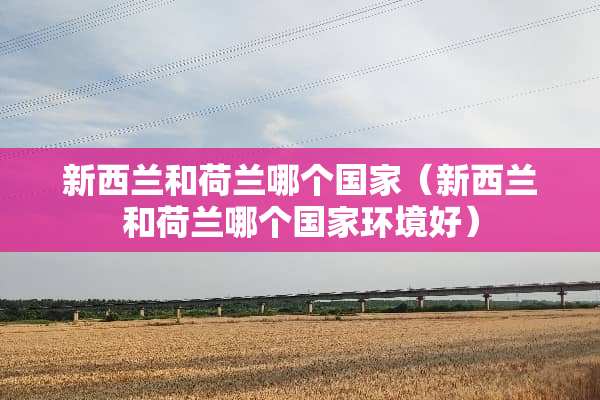 新西兰和荷兰哪个国家（新西兰和荷兰哪个国家环境好）