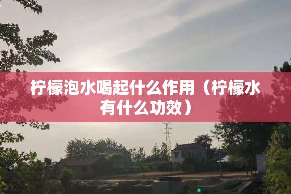 柠檬泡水喝起什么作用（柠檬水有什么功效）