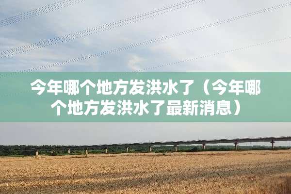 今年哪个地方发洪水了（今年哪个地方发洪水了最新消息）
