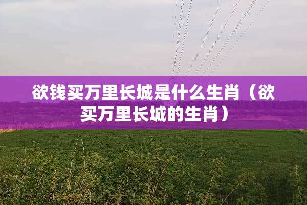 欲钱买**长城是什么生肖（欲买**长城的生肖）