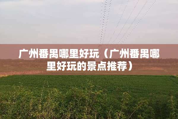 广州番禺哪里好玩（广州番禺哪里好玩的景点推荐）