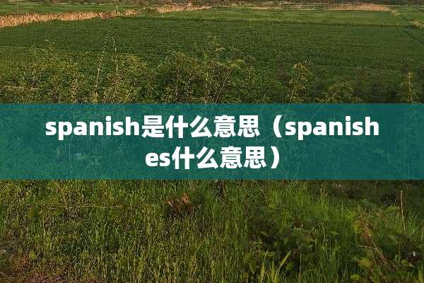 spanish是什么意思（spanishes什么意思）