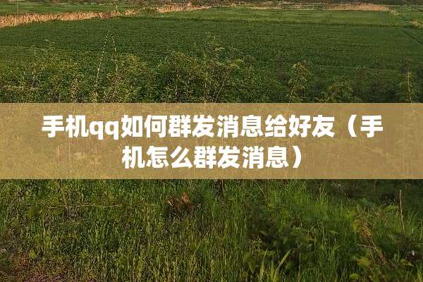 手机qq如何群发消息给好友（手机怎么群发消息）