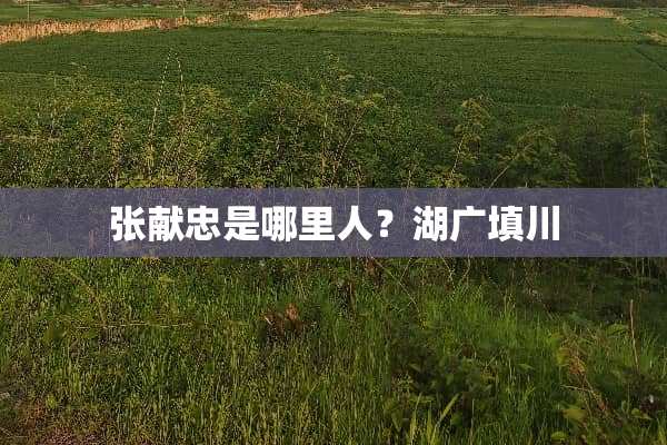 张献忠是哪里人？湖广填川