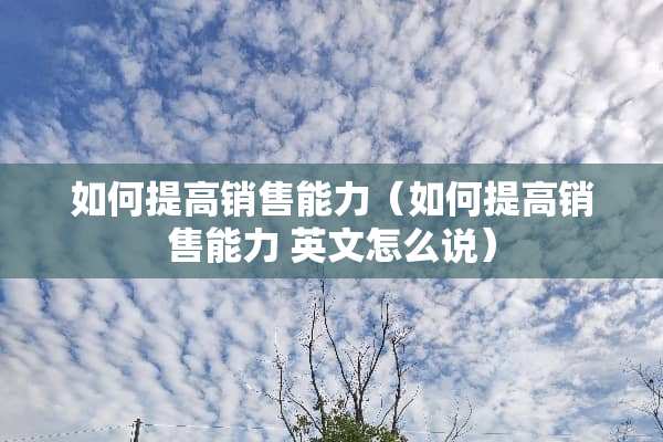 如何提高销售能力（如何提高销售能力 英文怎么说）