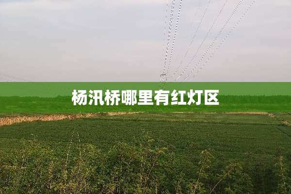 杨汛桥哪里有***