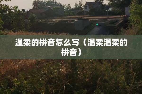 温柔的拼音怎么写（温柔温柔的拼音）