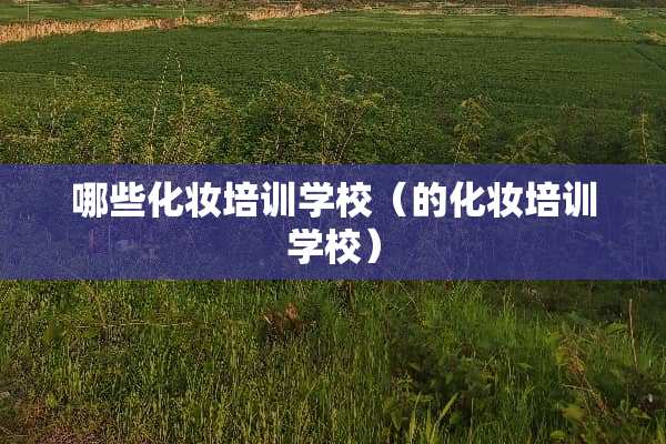 哪些化妆培训学校（的化妆培训学校）