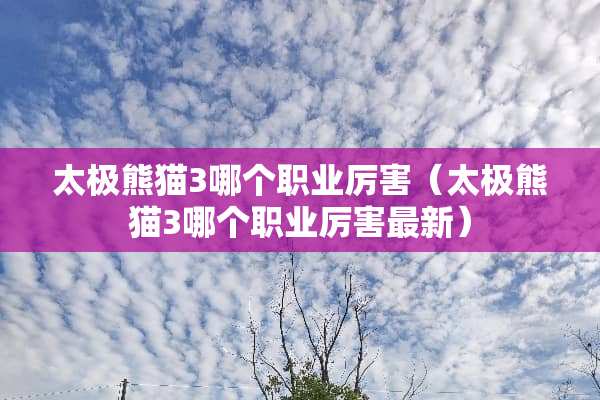 太极熊猫3哪个职业厉害（太极熊猫3哪个职业厉害最新）