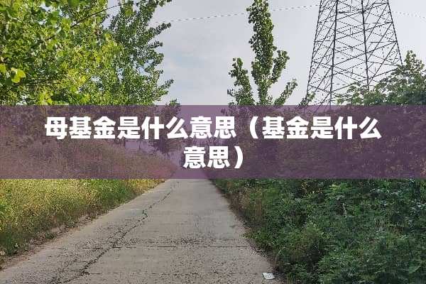 母基金是什么意思（基金是什么意思）