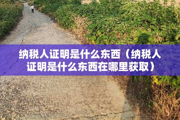 纳税人证明是什么东西（纳税人证明是什么东西在哪里获取）