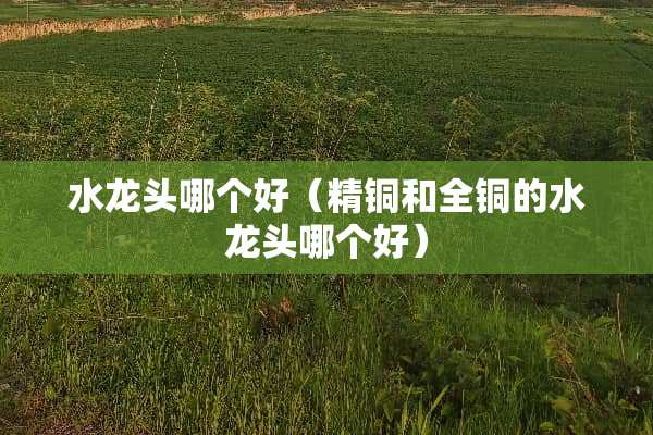 水龙头哪个好（精铜和全铜的水龙头哪个好）