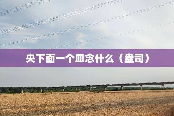 央下面一个皿念什么（盎司）