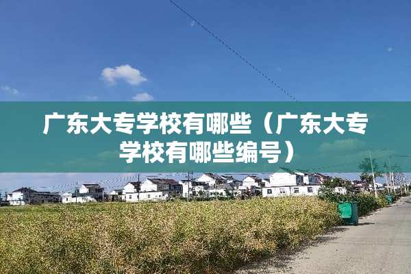 广东大专学校有哪些（广东大专学校有哪些编号）