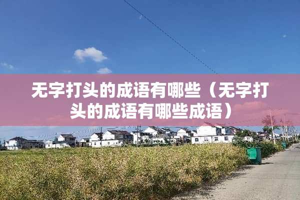 无字打头的成语有哪些（无字打头的成语有哪些成语）