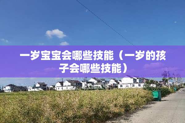 一岁宝宝会哪些技能（一岁的孩子会哪些技能）