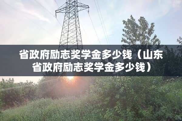 省**励志奖学金多少钱（山东省**励志奖学金多少钱）