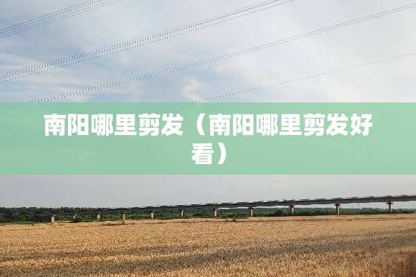 南阳哪里剪发（南阳哪里剪发好看）